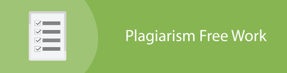 Plagiarism_Free_Work
